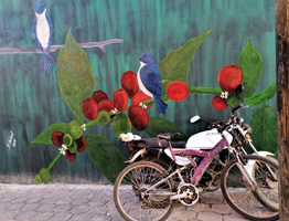 Bike Swap