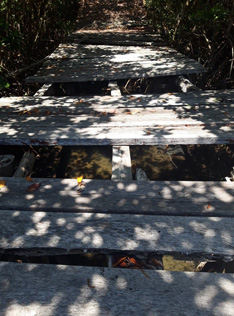 Bridge For Motorbikes
