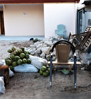 Fruit Stall
