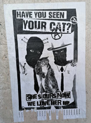 Cat Burgulars