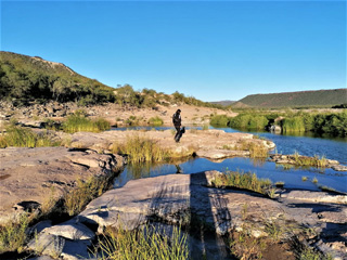 Cathy Searching For A Route
