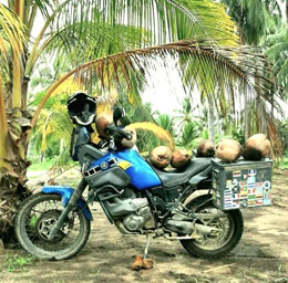 Coconut Bike