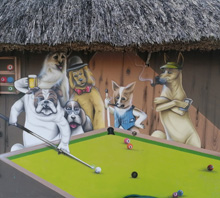 Cool Pool