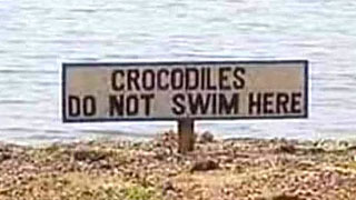 Crocs Do Not Swim