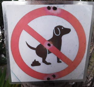 Don't Shoot The Dachshund