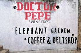 Elephant Garden