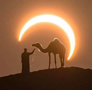 Camel And Eclipse