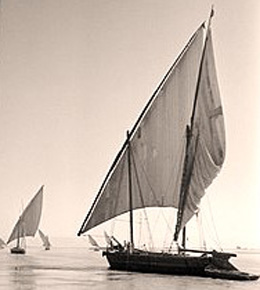 Feluccas