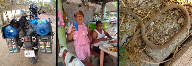 Water Carrier, Landlady and Snake