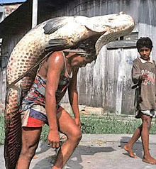 Fish Carrierr