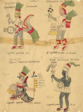 Florentine Codex