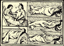 Florantine Codex Smallpox