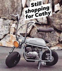 Still Shopping For Cathy