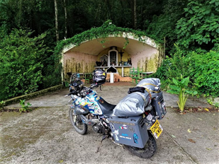 Forest Shrine