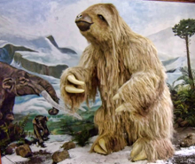 Giant Sloth