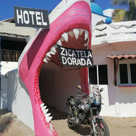 Guests Welcome