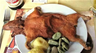 Guinea Pig Meal