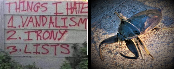 Things I Hate