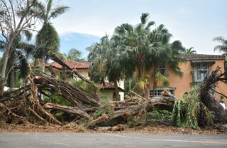 Hurricane Damage