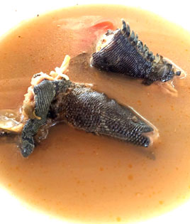 Iguana Stew
