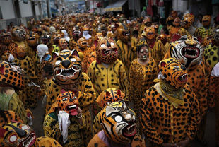 Jaguar Festival