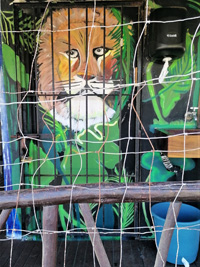 Lion Cage