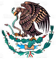 Mexican Flag