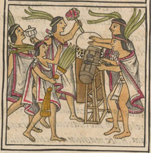 Mexica Drummers