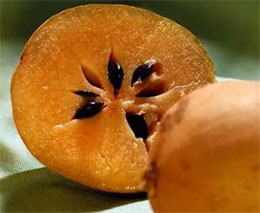 Mexican Fruit