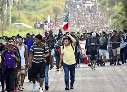 Migration