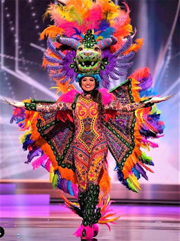 Miss Universe Costume