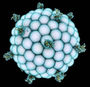 Nanoparticle