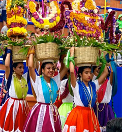 Oaxaca Festival