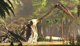 Pterosaur