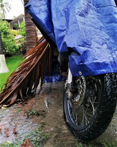 Rained On