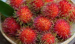 Rambutans