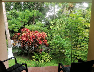 Room With A View