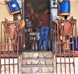 New Saddle Bags