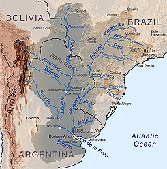 The Amazon Basin