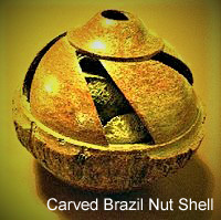 Carved Brazil Nut