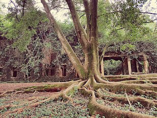 Ruins of Hotel Araxa