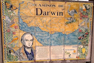 Darwin Poster Of Uruguay