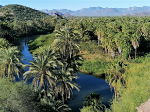 Jungle And Mountains