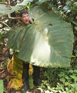 Take A Leaf Out Of My Book