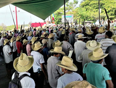 Straw Hut Brigade