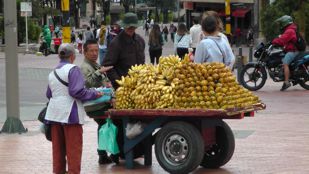 Street Vendor