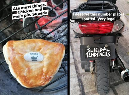 Suicide Bike And Mole Pie