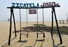 Swinging Place