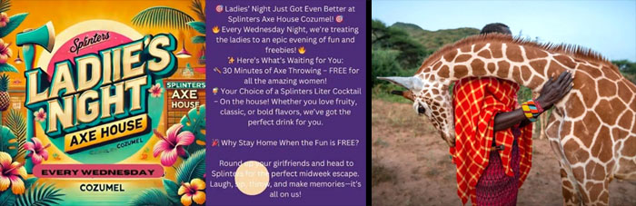 Ladies Night and Trust