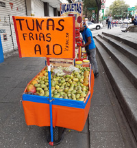 Tunas In Mexico City